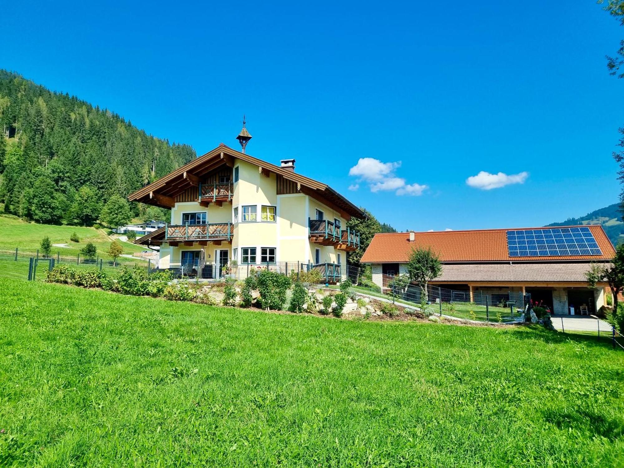 Ferienwohnung Flachau Oberlehengut Εξωτερικό φωτογραφία